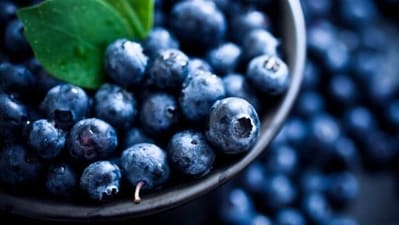 Blueberries: Blueberries have antioxidants that combat oxidative stress caused by free radicals, which can weaken the immune system. (Unsplash) Blueberries: Blueberries have antioxidants that combat oxidative stress caused by free radicals, which can weaken the immune system. (Unsplash)
