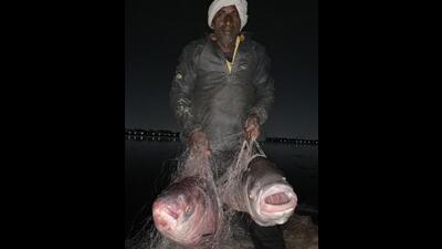 Fisherman Raees with his night catch at Sukhna. (Photo: Vikram Jit Singh) Fisherman Raees with his night catch at Sukhna. (Photo: Vikram Jit Singh)
