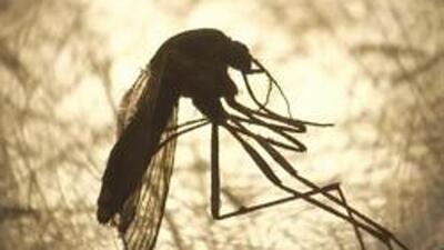 The campaign aims to make people aware about infectious diseases such as encephalitis, dengue, chikungunya, malaria and kala-azar in all 75 districts of the state from April 1. (For representation) The campaign aims to make people aware about infectious diseases such as encephalitis, dengue, chikungunya, malaria and kala-azar in all 75 districts of the state from April 1. (For representation)