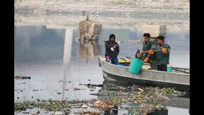 Yamuna cleaning to be key Delhi Budget issue. (PTI) Yamuna cleaning to be key Delhi Budget issue. (PTI)