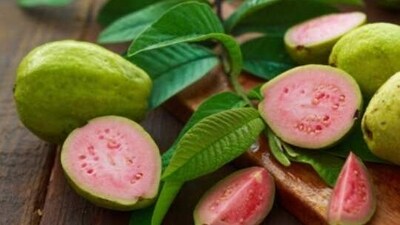 Guava: Guava is loaded with Vitamin C and contains flavonoids that shield cells against damage from free radicals, thus boosting immunity. (Unsplash) Guava: Guava is loaded with Vitamin C and contains flavonoids that shield cells against damage from free radicals, thus boosting immunity. (Unsplash)