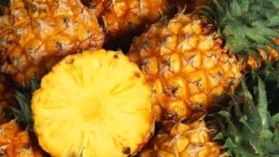 Pineapple: Pineapple has an enzyme called bromelain that contains anti-inflammatory properties to curb infections. (Unsplash) Pineapple: Pineapple has an enzyme called bromelain that contains anti-inflammatory properties to curb infections. (Unsplash)