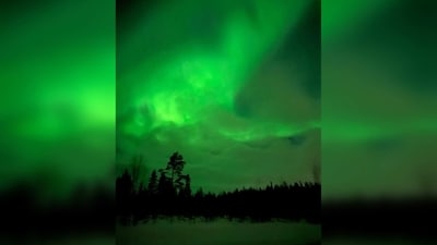 "Dancing through the northern lights 💜 a night so magical , a night so blessed 💜 grateful," Rakul Preet captioned her post. (Instagram/@rakulpreet) "Dancing through the northern lights 💜 a night so magical , a night so blessed 💜 grateful," Rakul Preet captioned her post. (Instagram/@rakulpreet)