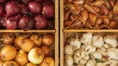 Chaitra Navratri 2023: Onion, garlic and other foods to avoid during Navratri (Photo by Nick Fewings on Unsplash) Chaitra Navratri 2023: Onion, garlic and other foods to avoid during Navratri (Photo by Nick Fewings on Unsplash)