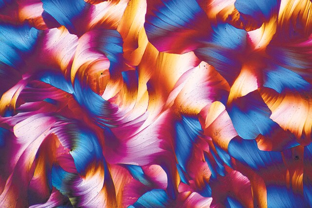 Beta alanine and L-glutamine amino acid crystals under polarised light, in an image taken by Sarang Naik. Beta alanine and L-glutamine amino acid crystals under polarised light, in an image taken by Sarang Naik.