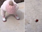 The image, taken from the viral Instagram video, shows the kid saying ‘hi’ to an insect.
