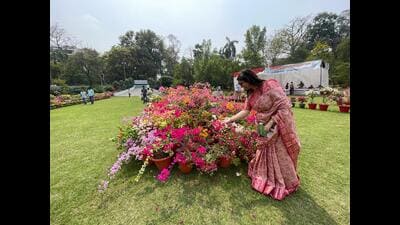 Bougainvillea varieties with unique names bloom at NBRI, Lucknow (HT photo) Bougainvillea varieties with unique names bloom at NBRI, Lucknow (HT photo)