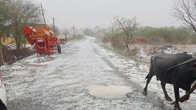 Heavy rains lashed Mysuru, Chamarajanagara, Mandya, Hubballi, Bidar, Dakshina Kannada and Kalburgi districts. (HT Photo) Heavy rains lashed Mysuru, Chamarajanagara, Mandya, Hubballi, Bidar, Dakshina Kannada and Kalburgi districts. (HT Photo)