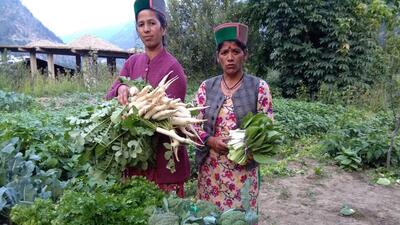 In its attempt to address gender-sensitive vulnerabilities and achieve gender equality, the government of Himachal Pradesh has allocated ₹4,302.45 crore to women-oriented schemes, as per the gender budget statement (GBS) for financial year 2023-24. (HT File Photo) In its attempt to address gender-sensitive vulnerabilities and achieve gender equality, the government of Himachal Pradesh has allocated ₹4,302.45 crore to women-oriented schemes, as per the gender budget statement (GBS) for financial year 2023-24. (HT File Photo)