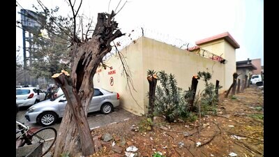 Tree pruned by the authorities near drug addiction center of civil hospital in Ludhiana. (HT Photo) Tree pruned by the authorities near drug addiction center of civil hospital in Ludhiana. (HT Photo)