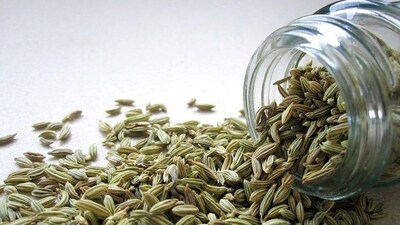 4. Fennel: Fennel has a compound called anethole which can help reduce inflammation and soothe the stomach. Chew on a few fennel seeds after meals or drink fennel tea. (Pixabay) 4. Fennel: Fennel has a compound called anethole which can help reduce inflammation and soothe the stomach. Chew on a few fennel seeds after meals or drink fennel tea. (Pixabay)