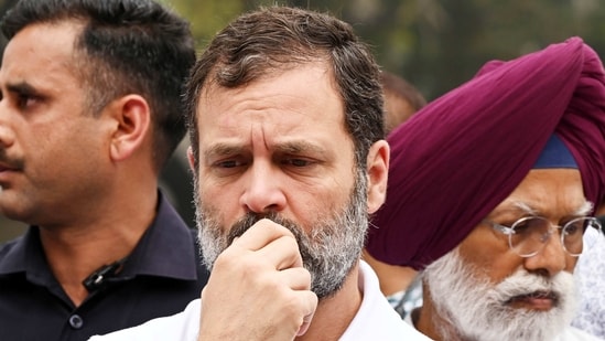 Congress MP Rahul Gandhi at Parliament House complex in New Delhi on Friday, (Sanjeev Verma/HT)