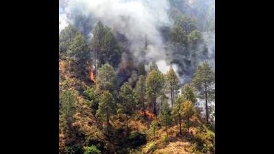 A large number of forest fires have been reported from different parts of the country. In Odisha, forest fires are reported from more than 140 places. Many fire incidents have occurred this year in Uttarakhand, the Northeast, and Karnataka. These incidents are in line with recent trends in forest fires, which have acquired a serious proportion in many districts of the country. (HT PHOTO) A large number of forest fires have been reported from different parts of the country. In Odisha, forest fires are reported from more than 140 places. Many fire incidents have occurred this year in Uttarakhand, the Northeast, and Karnataka. These incidents are in line with recent trends in forest fires, which have acquired a serious proportion in many districts of the country. (HT PHOTO)