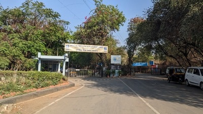 A view of NIBM where Sandalwood trees being cut. (HT FILE PHOTO)