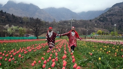 The Indira Gandhi Tulip Garden, Asia's largest tulip garden, ensconced between Dal Lake and the Zabarwan hills in Srinagar opened to the public on Sunday. (ANI) The Indira Gandhi Tulip Garden, Asia's largest tulip garden, ensconced between Dal Lake and the Zabarwan hills in Srinagar opened to the public on Sunday. (ANI)