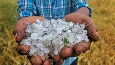 IMD has said that rain and hailstorm will lash half of Madhya Pradesh till March 24. (Representative Image/PTI) IMD has said that rain and hailstorm will lash half of Madhya Pradesh till March 24. (Representative Image/PTI)