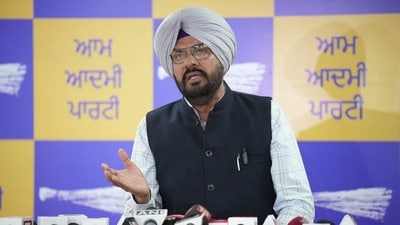 Punjab cabinet minister Kuldeep Singh Dhaliwal said no anti-social element will be allowed to flourish in the state. Punjab cabinet minister Kuldeep Singh Dhaliwal said no anti-social element will be allowed to flourish in the state.