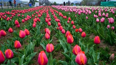 The garden was opened in 2008 by the then chief minister of Jammu and Kashmir Ghulam Nabi Azad. (PTI) The garden was opened in 2008 by the then chief minister of Jammu and Kashmir Ghulam Nabi Azad. (PTI)
