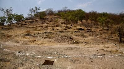 Those opposing the Balbharti-Paud Phata link road claim that the road will not just damage ecology of area (Vetal Tekdi), but will also serve no purpose to commuters. (HT FILE PHOTO) Those opposing the Balbharti-Paud Phata link road claim that the road will not just damage ecology of area (Vetal Tekdi), but will also serve no purpose to commuters. (HT FILE PHOTO)
