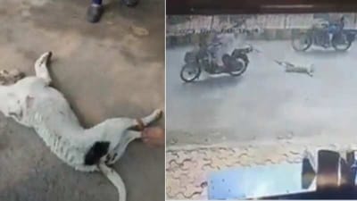 Screengrab of the viral videos of the incident.