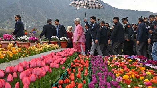 Jammu and Kashmir Lieutenant Governor Manoj Sinha at the opening ceremony said that the tulips will bloom in the garden this year.&nbsp;(AFP)