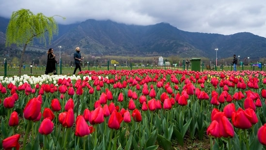 "Every year we expand this garden and new varieties are displayed here. This year, we have extended the fountain channel," he said.&nbsp;(PTI)