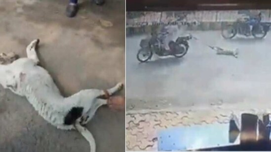 Screengrab of the viral videos of the incident.