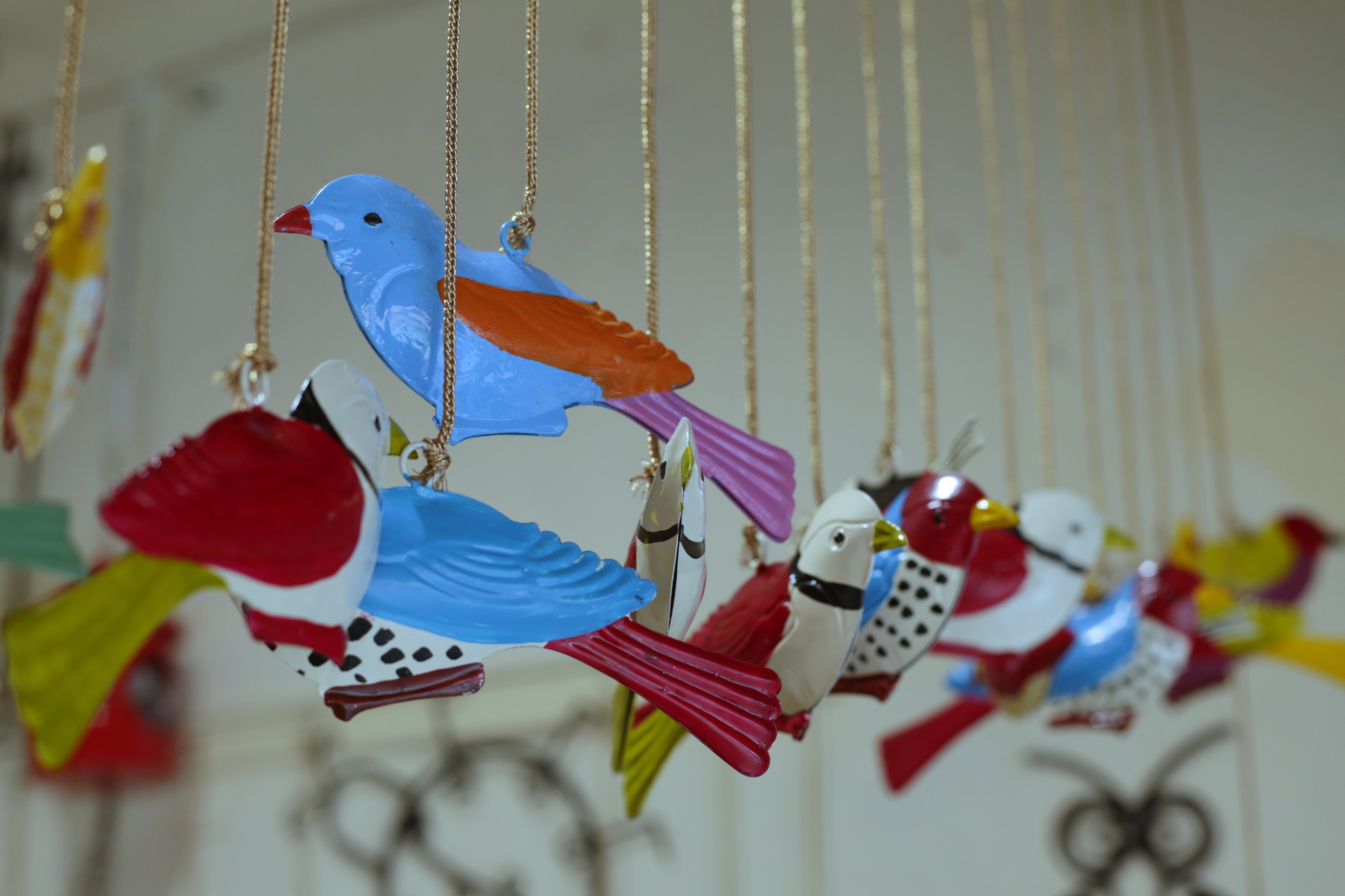 Bird hangings will be perfect for your feathered friends in the balcony or garden. Price:  ₹100- ₹150