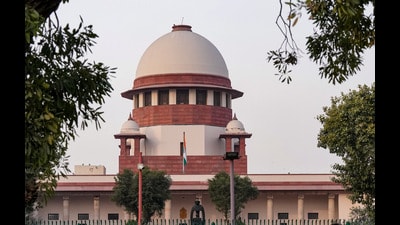 Advocate Shadan Farasat, appearing for CPI(M), urged the Supreme Court to consider referring the matter to a Constitution bench of a minimum of five judges. (PTI) Advocate Shadan Farasat, appearing for CPI(M), urged the Supreme Court to consider referring the matter to a Constitution bench of a minimum of five judges. (PTI)