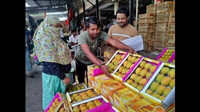 As summer approaches, all mango varieties are already available in local markets. (RAVINDRA JOSHI/ HT) As summer approaches, all mango varieties are already available in local markets. (RAVINDRA JOSHI/ HT)