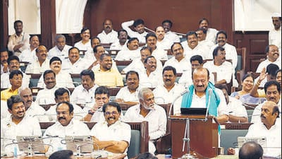 Tamil Nadu agriculture minister M R K Panneerselvam said subsidies will be given to farmers to promote millet cultivation. (ANI)