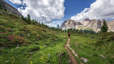 Valley of Flowers Trek: The Valley of Flowers Trek is another popular trek in Uttarakhand. It is located in the Chamoli district of Uttarakhand and takes you through a beautiful valley filled with a variety of wildflowers. The trek is best done in July and August when the flowers are in full bloom.&nbsp; (Pexels)