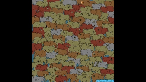 A tiny heart is highlighted in this viral brain teaser. (Gergely Dudás - Dudolf) A tiny heart is highlighted in this viral brain teaser. (Gergely Dudás - Dudolf)