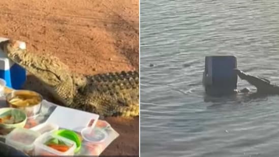 The image taken from the Facebook video shows the crocodile interrupting a picnic and stealing a cooler box. (Facebook/@latestsightingskruger )