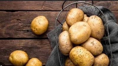 Apply potato juice: Potato juice is another natural remedy that can help lighten dark skin. Simply slice a potato and rub the slices over the affected areas. Leave the juice on for 15-20 minutes before rinsing it off. (File Photo) Apply potato juice: Potato juice is another natural remedy that can help lighten dark skin. Simply slice a potato and rub the slices over the affected areas. Leave the juice on for 15-20 minutes before rinsing it off. (File Photo)