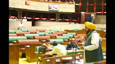 Chief Minister Punjab Bhagwant Singh Mann delivering concluding speech of Punjab assembly budget session at Punjab Vidhan sabha complex in Chandigarh on Wednesday. (HT Photo/Ravi Kumar)