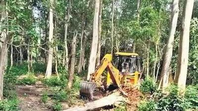 Indian Forest Service officer Rajiv Bhartari was removed as Uttarakhand PCCF, HoFF (File Photo) Indian Forest Service officer Rajiv Bhartari was removed as Uttarakhand PCCF, HoFF (File Photo)