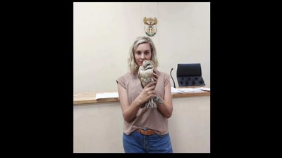 Owl enters courtroom in South Africa's Brakpan. (Facebook/@Owl Rescue Centre) Owl enters courtroom in South Africa's Brakpan. (Facebook/@Owl Rescue Centre)