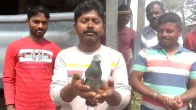 Police said they received information about the bird only after its death. (HT image sourced)