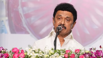 Tamil Nadu chief minister MK Stalin. (PTI)