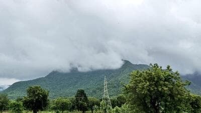 The Gandhamardan hills in Odisha. (HT Photo) The Gandhamardan hills in Odisha. (HT Photo)