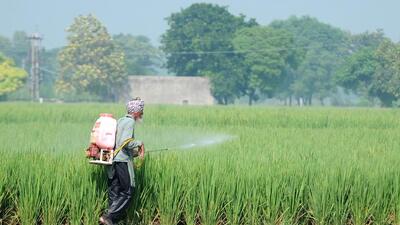 The country’s food security is closely linked to availability of fertilisers, which are federally subsidised for millions of farmers. (HT) The country’s food security is closely linked to availability of fertilisers, which are federally subsidised for millions of farmers. (HT)