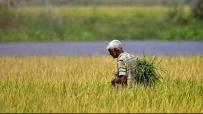 The minister he minister said that the district administration was assessing the loss caused by unseasonal rain and hailstorms during the past week. (Pic for representation)
