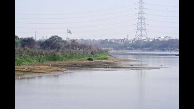 Under the Yamuna cleaning programme, the government also plans to increase the sewer connectivity up to 100% households via the chief minister’s Free Sewer Connection Scheme. (Sanjeev Verma/HT Photo) Under the Yamuna cleaning programme, the government also plans to increase the sewer connectivity up to 100% households via the chief minister’s Free Sewer Connection Scheme. (Sanjeev Verma/HT Photo)
