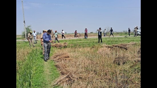 Prayagraj DM Sanjay Kumar Khatri inspecting damaged crops in Bara tehsil of the district on March 22. (HT photo)