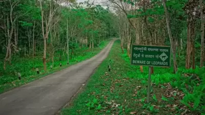 Dehing Patkai Sacred Grove, Assam: The Dehing Patkai Sacred Grove is located in the Dehing Patkai Wildlife Sanctuary in Assam. It is believed to be a sacred grove of the Tai Ahom community and is home to several rare and endangered species of flora and fauna, including the Hoolock Gibbon. (Instagram/@pranab_jyoti_dutta) Dehing Patkai Sacred Grove, Assam: The Dehing Patkai Sacred Grove is located in the Dehing Patkai Wildlife Sanctuary in Assam. It is believed to be a sacred grove of the Tai Ahom community and is home to several rare and endangered species of flora and fauna, including the Hoolock Gibbon. (Instagram/@pranab_jyoti_dutta)