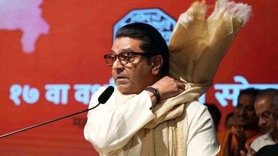 Raj Thackeray on Wednesday said an 'illegal dargah' is coming up off the Mahim coast.