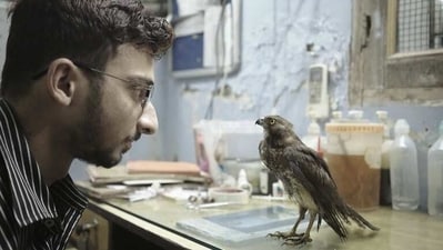 Salik Rehman in a still from All That Breathes, now streaming on Disney plus Hotstar. Salik Rehman in a still from All That Breathes, now streaming on Disney plus Hotstar.