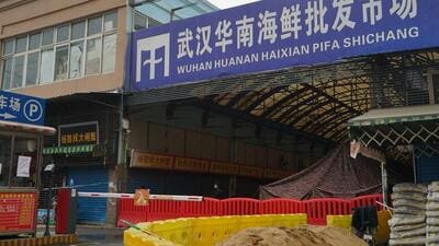 International scientists have examined previously unavailable genetic data from samples collected at a market in China close to where the first human cases of Covid-19 were detected and said they have found suggestions the pandemic originated from animals, not a lab. (AP File Photo) International scientists have examined previously unavailable genetic data from samples collected at a market in China close to where the first human cases of Covid-19 were detected and said they have found suggestions the pandemic originated from animals, not a lab. (AP File Photo)