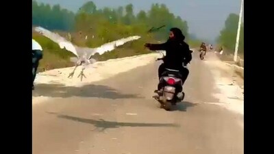 Arif seen hanging around with the crane bird in Uttar Pradesh's Amethi.